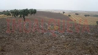Land for sale in Reguengos de Monsaraz, Portugal — €25,000