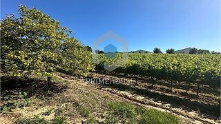 Terreno de 60 000 m² em Setúbal