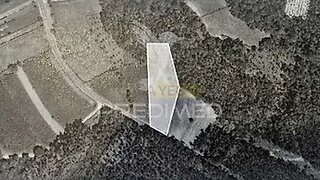 Land for sale in Albergaria-a-Velha, Portugal — €17,500