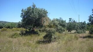 Land for sale in Torres Novas, Portugal — €105,000