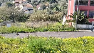Land for sale in Amadora, Portugal — €155,000