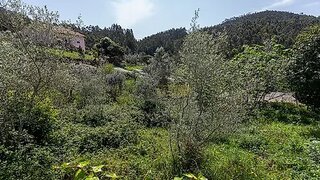 Terreno em Mealhada