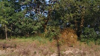 Terreno em Arcos de Valdevez