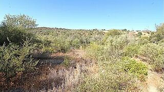Land for sale in Albufeira, Portugal — €50,000