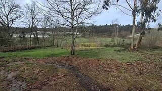 Land for sale in Oliveira de Frades, Portugal — €85,000