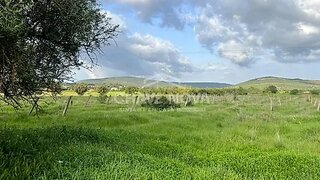Land for sale in Albufeira, Portugal — €42,000