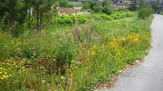Land for sale in Albergaria-a-Velha, Portugal — €152,000