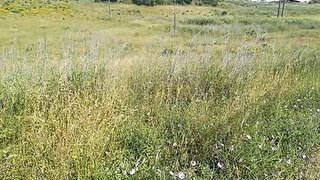 Land for sale in Loures, Portugal — €1,560,000