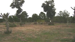 Land for sale in Coruche, Portugal — €300,000