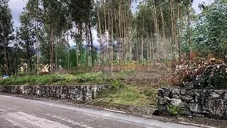 Land for sale in Sever do Vouga, Portugal — €30,000