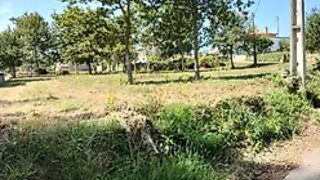 Land for sale in Ponte de Lima, Portugal — €75,000