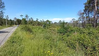 Land for sale in Viseu, Portugal — €50,000