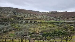 Land for sale in São João da Pesqueira, Portugal — €62,500