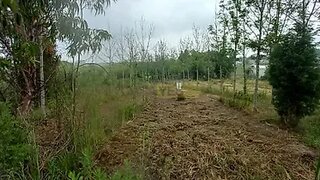 Land for sale in Anadia, Portugal — €34,000