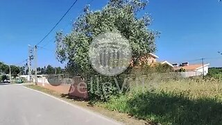 Land for sale in Anadia, Portugal — €55,000