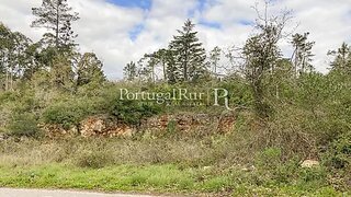Land for sale in Condeixa-a-Nova, Portugal — €75,000