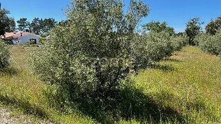 Land for sale in Grândola, Portugal — €140,000