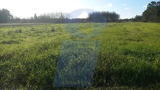 Land for sale in Oliveira do Bairro, Portugal — €10,000