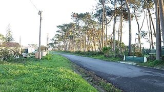 Land for sale in Sintra, Portugal — €99,000