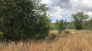 Land for sale in Silves, Portugal — €30,000