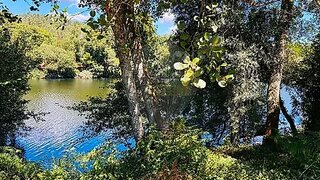 Terreno em Ponte de Lima