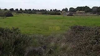 Land for sale in Cartaxo, Portugal — €36,000
