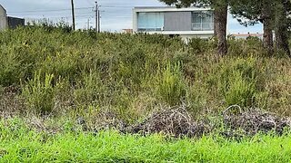 Land for sale in Aveiro, Portugal — €90,000