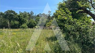 Land for sale in Anadia, Portugal — €35,000