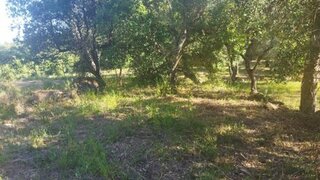 Land for sale in Castelo Branco, Portugal — €9,500