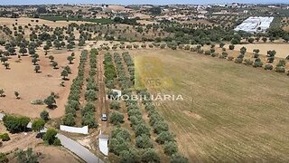 Terreno de 24 873 m² em Santarém
