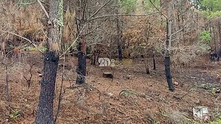 Land for sale in Tabuaço, Portugal — €40,000