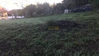 Terreno de 1800 m² em Coimbra