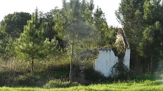 Land for sale in Coruche, Portugal — €89,000