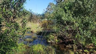 Land for sale in Santiago do Cacém, Portugal — €140,000