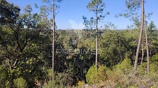 Land for sale in Constância, Portugal — €13,500