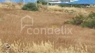 Terreno em Porto Santo · 3600 m² · 135 000 €