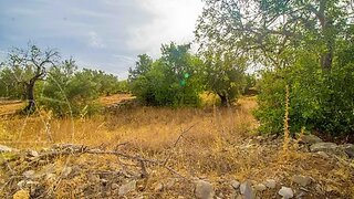 Terreno de 3960 m² em Faro