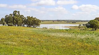 Land for sale in Mourão, Portugal — €150,000