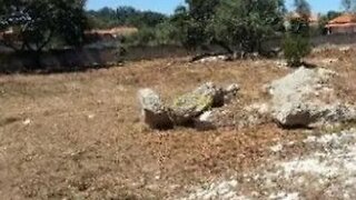 Terreno em Alcobaça · 1240 m² · 31 000 €