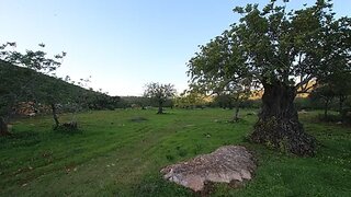 Land for sale in São Brás de Alportel, Portugal — €58,000