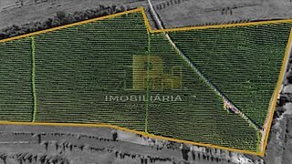 Terreno em Santarém · 186 240 m² · 650 000 €