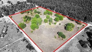 Land for sale in Benavente, Portugal — €205,000