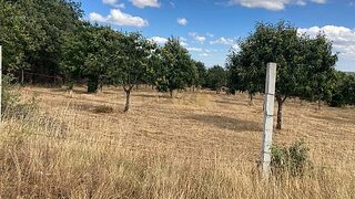 Terreno de 11 900 m² em Bragança