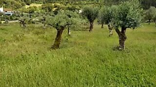 Land for sale in Tomar, Portugal — €22,000