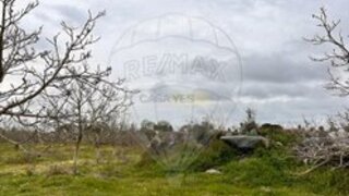 Terreno em Alvito · 31 000 m² · 95 000 €