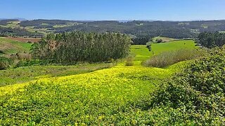 Land for sale in Lourinhã, Portugal — €55,000