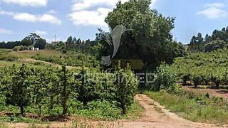 Terreno · 24 800 m² · 30 000 €