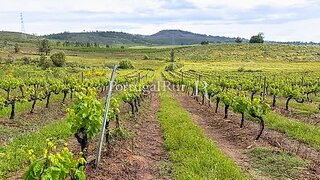 Land for sale in Fundão, Portugal — €200,000