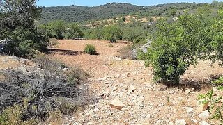 Land for sale in Loulé, Portugal — €21,500