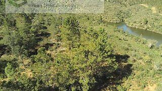 Land for sale in Castelo Branco, Portugal — €12,750